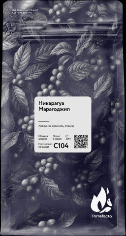 Никарагуа Марагоджип Свежеобжаренный кофе, 250 г - Torrefacto фото 5