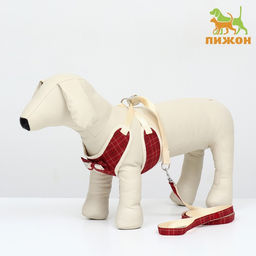 Комплект с мягкой шлейкой Клетки, размер L, поводок 120 х 1,5 см, ОГ 42-76 см, красный