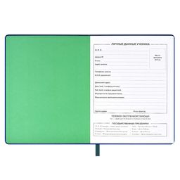 Дневник школьный арт. 58873 / 15 ПОП АРТ - Феникс+ фото 5