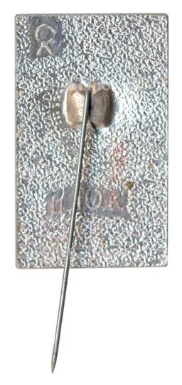 Значок Павловск