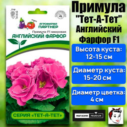 Примула махровая Тет-А-Тет Английский Фарфор - Партнер фото 2