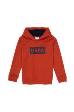 Erkek _ocuk Kiremit Basic Kap__onlu Sweatshirt