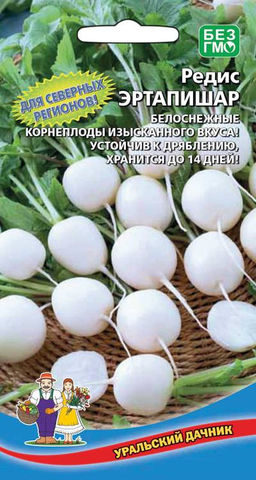 Редис ЭРТАПИШАР Для северных регионов! Белоснежные корнеплоды изысканного вкуса! Устойчив к дряблению, хранится до 14 дней!