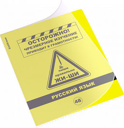 Цена за 5 шт. Тетрадь общая ученическая с пластиковой обложкой на скобе ErichKrause Be Informed, Русский язык, 48 листов, линейка