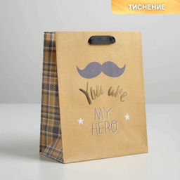 Пакет подарочный крафтовый, упаковка, «You are my hero», MS 18 х 23 х 10 см