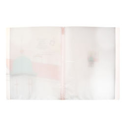 Папка формат А4, с 40 прозрачными файлами, Достопримечательность МИКС - Calligrata фото 8