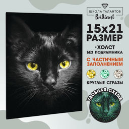Алмазная мозаика с частичным заполнением на холсте «Чёрный кот», 15×21 см