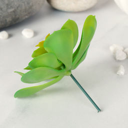 Суккулент искусственный 10х8 см / GN150 /уп 100/ - Галеонтрейд фото 2