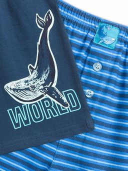 BUB4223(2шт. в упаковке) трусы для мальчиков - Pelican фото 2