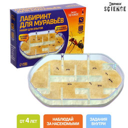Набор для опытов Лабиринт для муравьёв