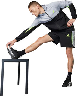 Ветровка мужская