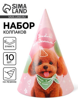 Цена за 10 шт. Колпак праздничный бумажный «С Днём рождения, собачка», розовый