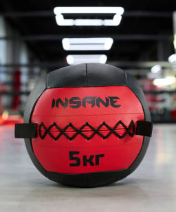 Медбол INSANE IN24-WB100 5 кг, красный  фото 6