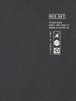 Bisiklet Yaka Erkek ?ocuk Ti??rt - Waikiki фото 2