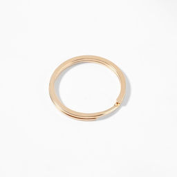 Цена за 2 шт. Кольцо для брелока, плоское, d=25 мм, 10 шт., цвет золотой