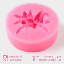 Молд Доляна Цветение, силикон, d=7 см, цвет МИКС  фото 2