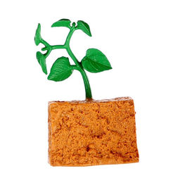 Обучающий набор Этапы развития семечка 4 фигурки - Simaland фото 9