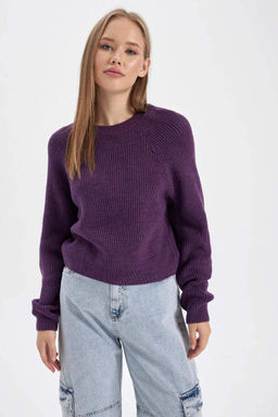 Крутой свитер стандартной посадки с круглым вырезом - Defacto фото 4