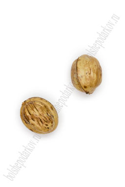 Муляж декоративный грецкий орех, SF-1238 (100 шт) - Больше подарков фото 2