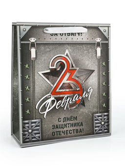 Цена за 2 шт. Пакет подарочный ламинированный 23 февраля, M 25.5?30?9 см