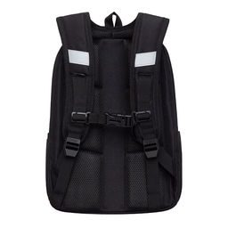 RAw-695-6 Рюкзак школьный с картхолдером на держателе - Grizzly фото 28