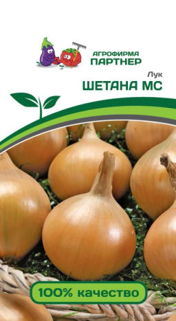 Лук репчатый Шетана МС - Партнер фото 2