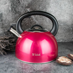 Чайник TalleR TR-1382 Фолкнер 2,5 л