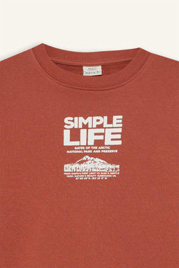 Толстовка обычного кроя с круглым вырезом и принтом на мягкой подкладке для мальчиков - Defacto фото 8