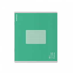 Цена за 10 шт. Тетрадь школьная ученическая ErichKrause FineLine, 18 листов, линейка, матовая ламинация, блок 80 г/м2_MIX-PACK фото 4