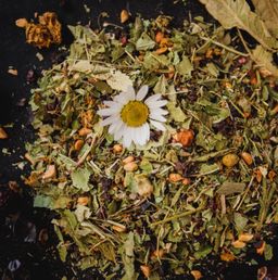 06499ae4458d7214f991a72a217f7753imw1n414lflm0hog