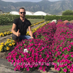 Петуния Итальянка Виолетта каскадная фиолетовая - Партнер фото 7