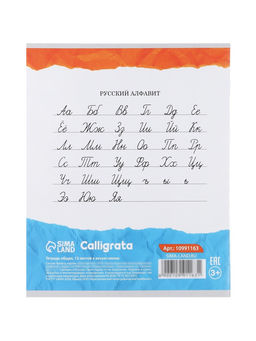 Тетради 10 штук, 12 листов в косую линейку Calligrata KIDS, серые листы, блок №2