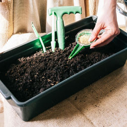 Набор посадочного инструмента: конус - 2 шт., сеялка, пикировщик, пластик, Greengo