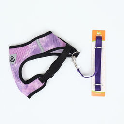 Комплект для собак 5-8 кг, размер M, поводок 120 х 1,5 см, ОШ 30 см, ОГ 39 см - Пижон фото 10