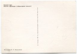 Открытка Петродворец  Нижний парк. Фонтана Данаида