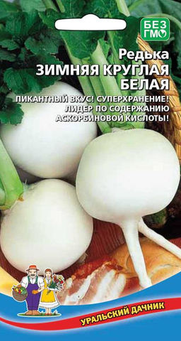 Редька ЗИМНЯЯ КРУГЛАЯ БЕЛАЯ  Пикантный вкус! Суперхранение! Лидер по содержанию аскорбиновой кислоты!