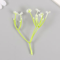 Искусственное растение для творчества Цикорий, набор 8 шт., белый, 10 см