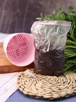 Наборы для выращивания, mix (уценка)