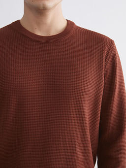 Bisiklet Yaka Kareli Erkek Triko Kazak