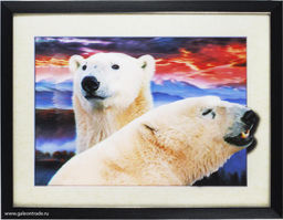 Картина 5D 30х40 7032 Белые медведи / KS1912-3 /