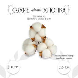 Декор для творчества «Сухие цветы хлопка» на проволоке, 3 шт.