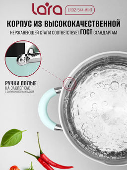 Кастрюля (нерж) MINT 24x13см, 5.7л, носик, индукционное дно, крышка с бортом LR02-544 /LARA/  фото 3
