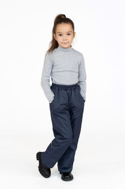 Брюки демисезонные синие