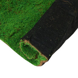 Мох искусственный, декоративный, полотно 1×1 м, цвет мох, Greengo