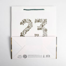 Цена за 2 шт. Пакет подарочный ламинированный, упаковка, 23 февраля, ML 23?27?11.5 см