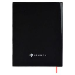 Дневник школьный арт. 58748 / 15 СПИЧКА - Феникс+ фото 9