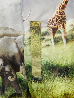 PlayToday / Куртка текстильная с полиуретановым покрытием для мальчиков (ветровка)  фото 8