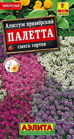 Алиссум Палетта, смесь сортов