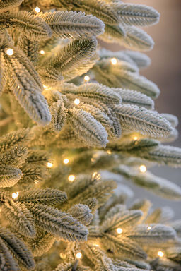 Ель заснеженная с лампочками Калининградская 1,5 м - Max christmas фото 5