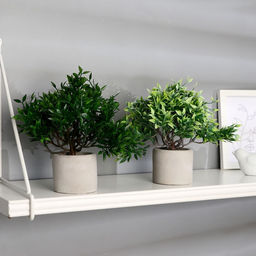 Искусственный цветок в горшке «Фрутикоса пышная», 14×20 см, МИКС